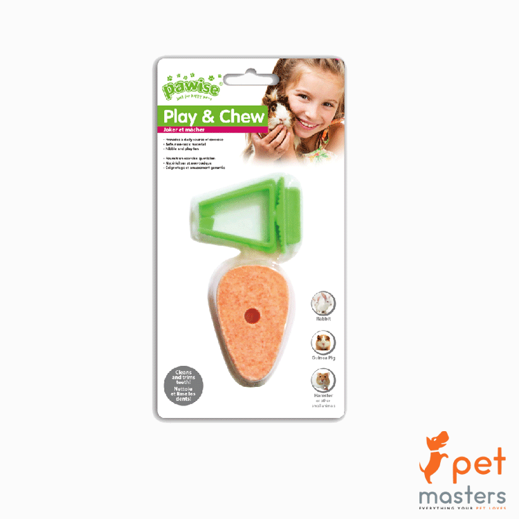 Pawise Play & Chew Carrot Toy